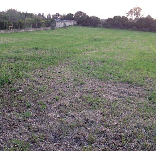 Terreno a Alghero in San Quirico - Foto 3