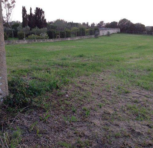 Terreno a Alghero in San Quirico - Foto 4
