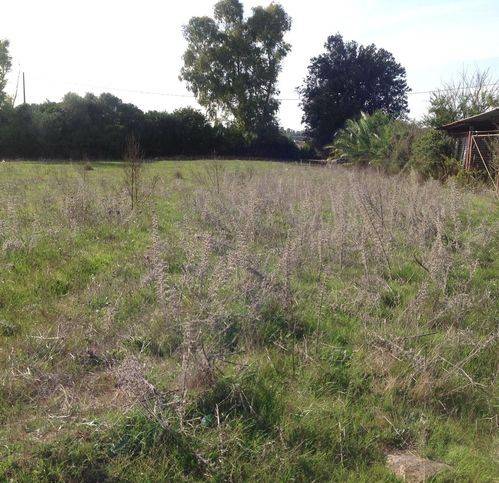 Terreno a Alghero in Località Sa Segada - Foto 2