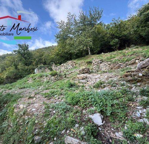 Terreno a Avegno - Foto 2