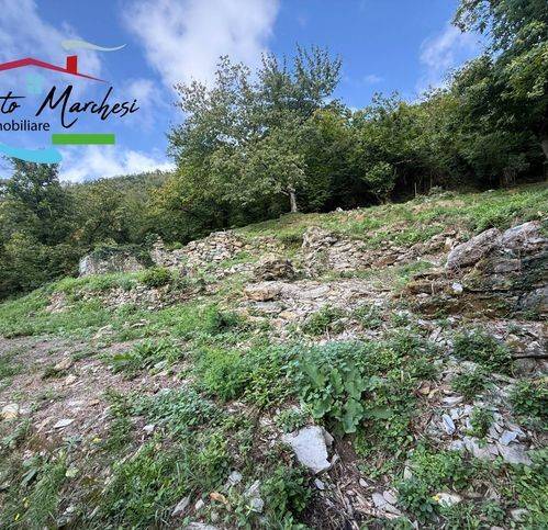 Terreno a Avegno - Foto 4