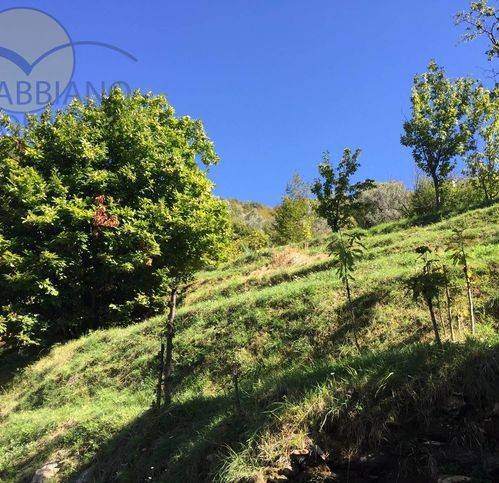 Terreno a Avegno in Via Serro Antico - Foto 3