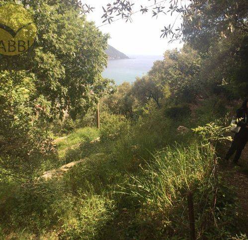 Villa a Recco - Foto 4