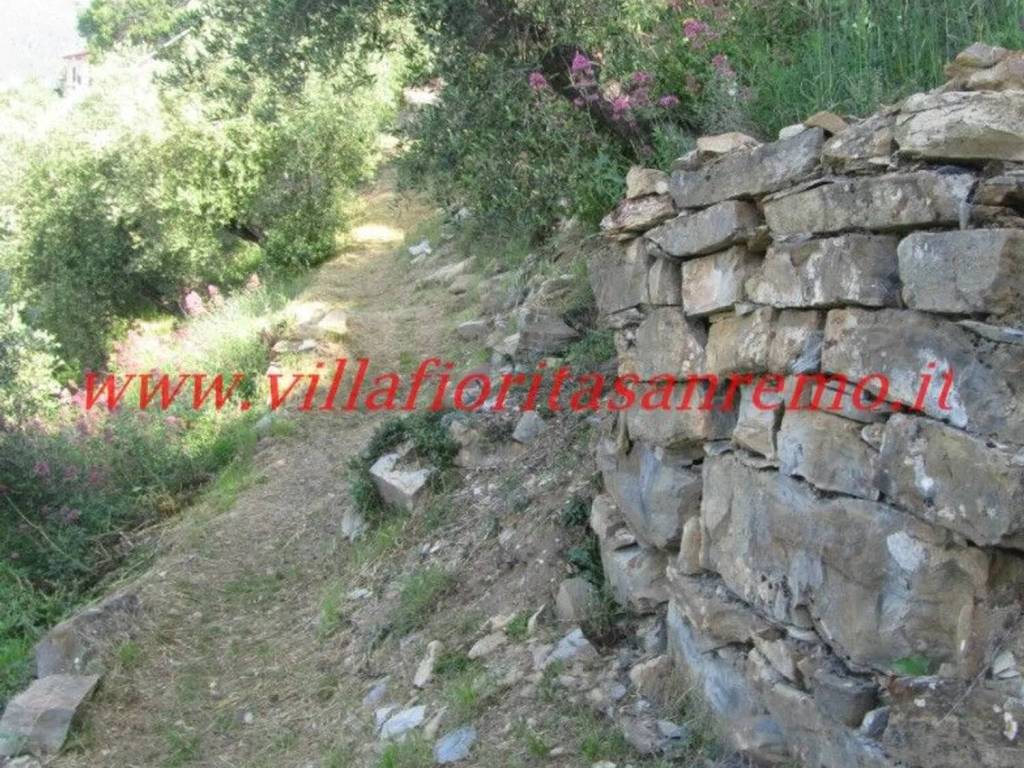 Terreno a Sanremo in Via Modeni Rodi, 67 - Foto 4