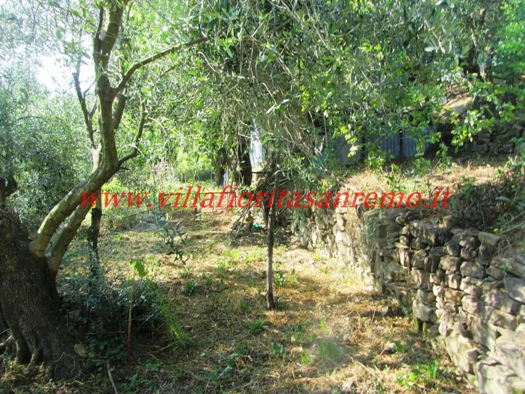 Terreno a Sanremo in Strada Poggio Radino - Foto 2