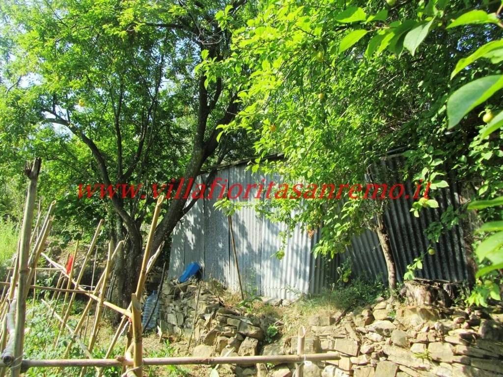 Terreno a Sanremo in Strada Poggio Radino - Foto 5