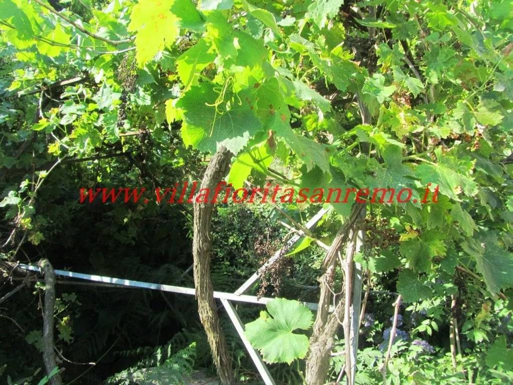 Villa a Ceriana in Strada Provinciale Sud - Foto 5