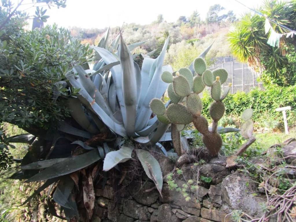 Rustico / casale a Sanremo in Via Duca Degli Abruzzi - Foto 3