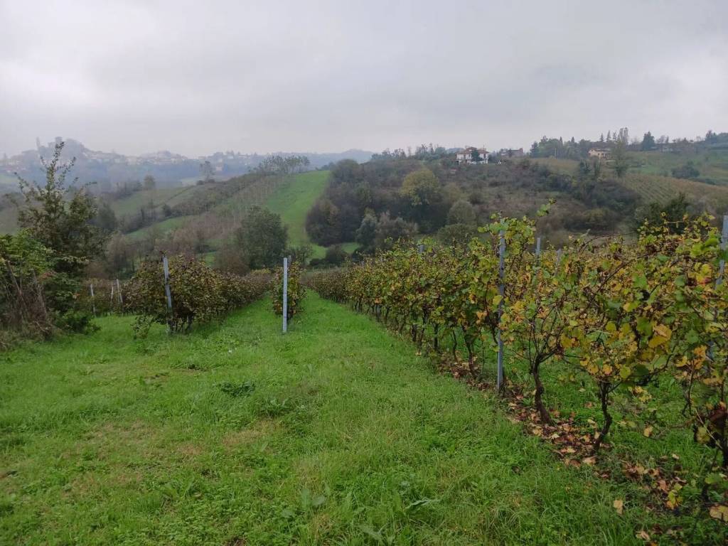 Terreno a Tortona in Strada Per Garbagna No Number - Foto 2