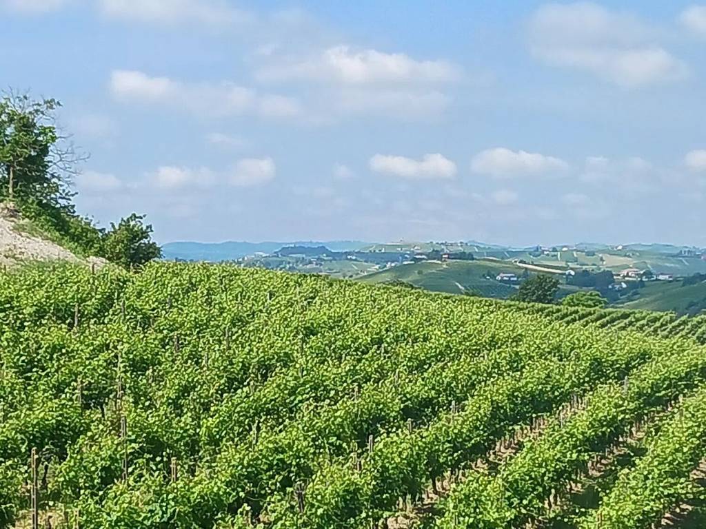 Terreno a Tortona in Strada Per Garbagna No Number - Foto 3