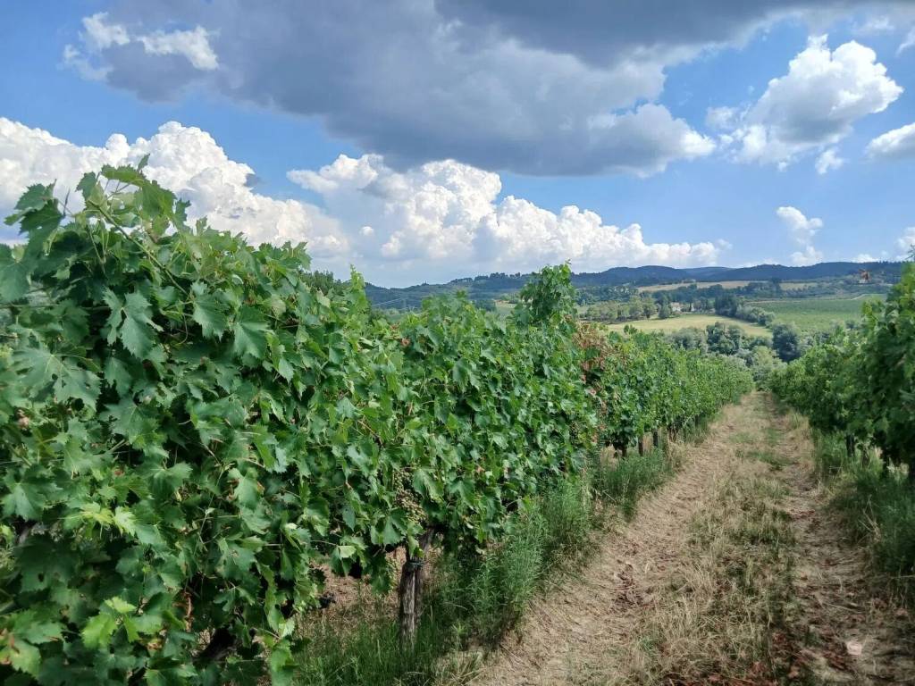 Terreno a Asti in Via Bruno Alberto, 1 - Foto 3