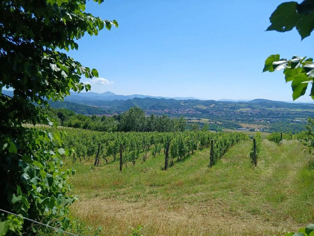 Terreno a Asti in Via Bruno Alberto, 1 - Foto 4
