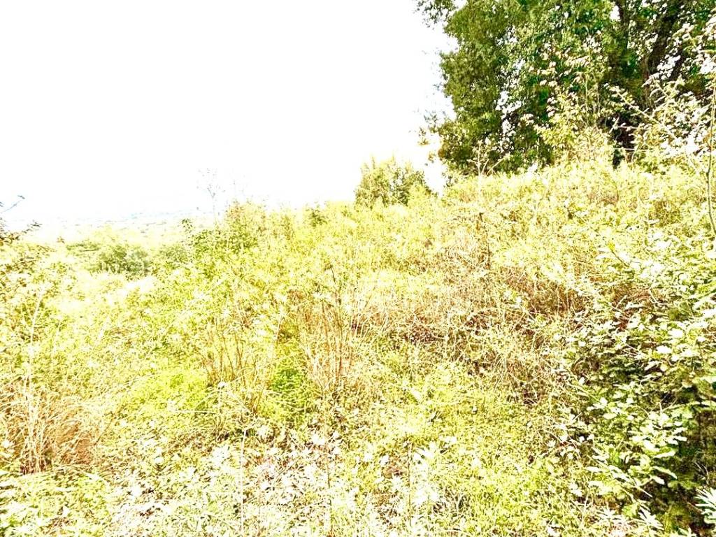 Terreno a Giarre in Monacella - Foto 2