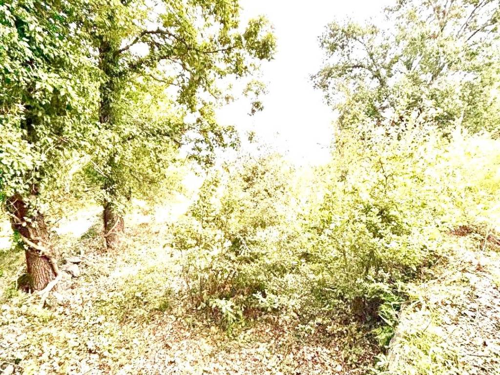 Terreno a Giarre in Monacella - Foto 3