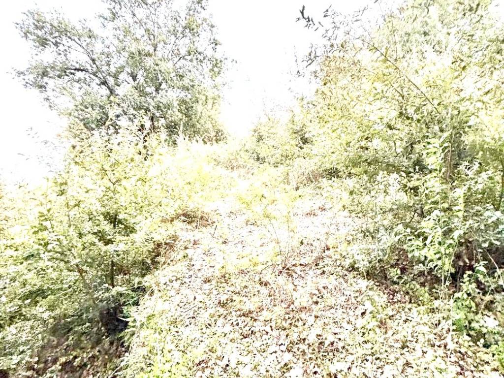 Terreno a Giarre in Monacella - Foto 4