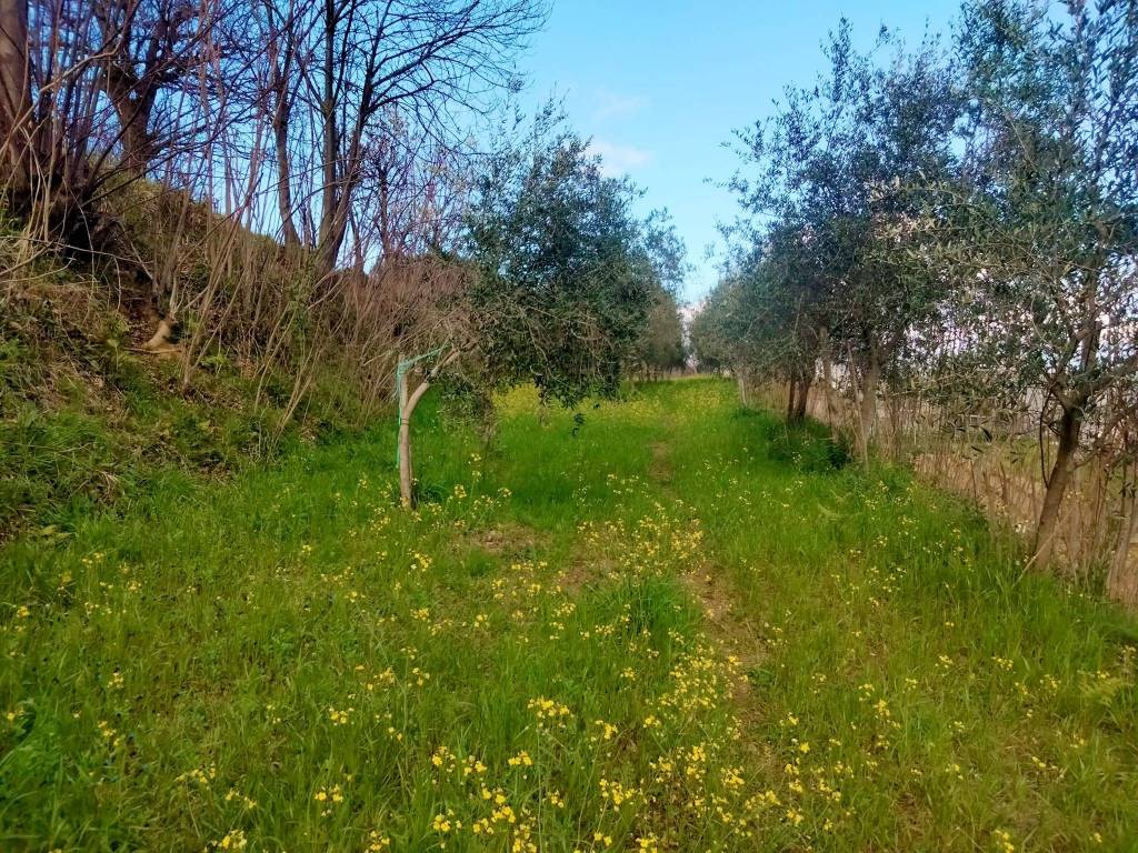 Terreno a Cava de' tirreni in Via Raffaele Luciano - Foto 2