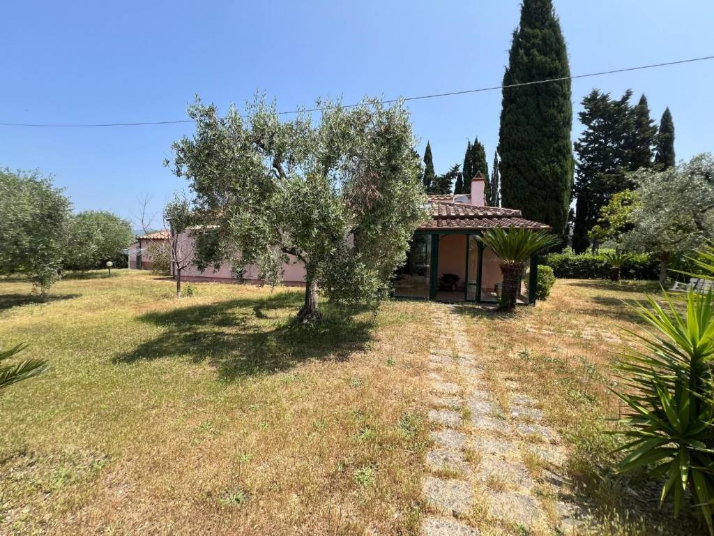 Rustico / casale a Castagneto carducci - Foto 2