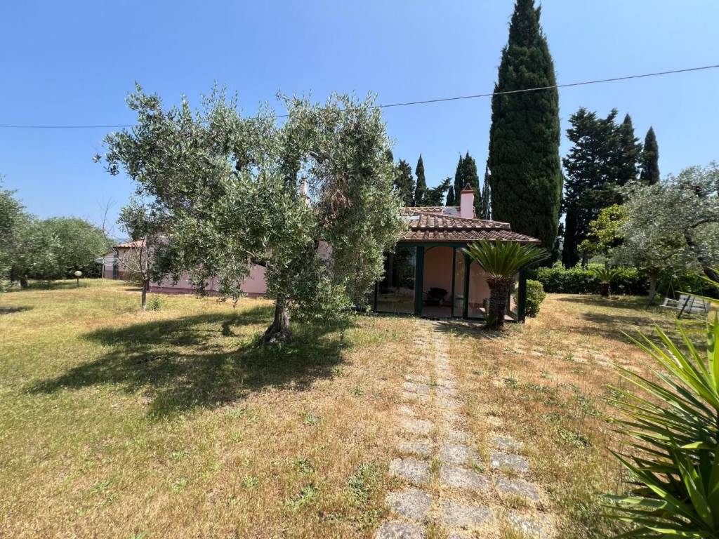 Rustico / casale a Castagneto carducci - Foto 3