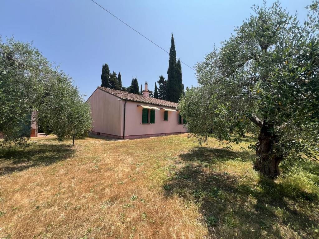 Rustico / casale a Castagneto carducci - Foto 4