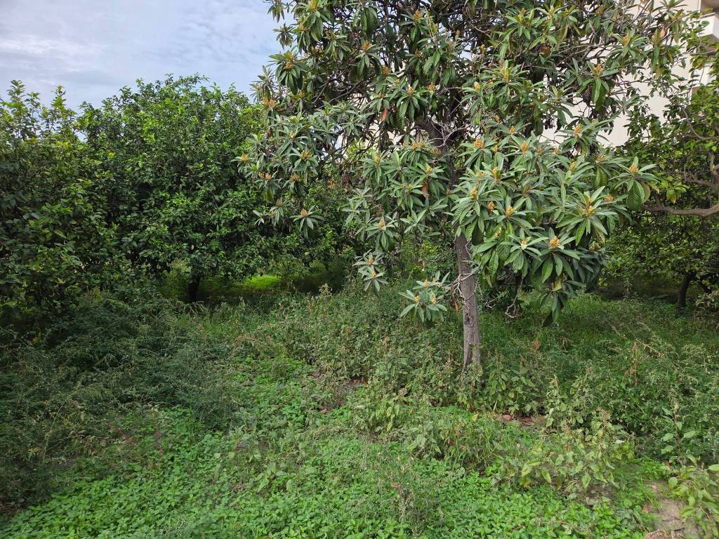 Terreno a Reggio calabria in Via Sottolume - Foto 4