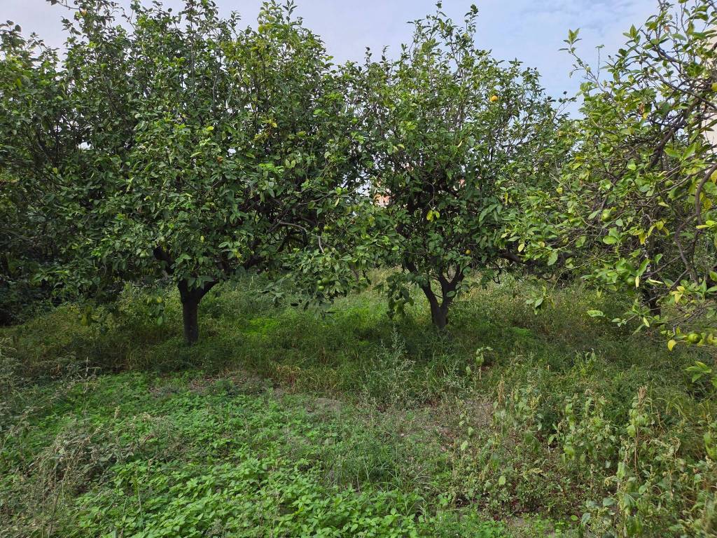 Terreno a Reggio calabria in Via Sottolume - Foto 5