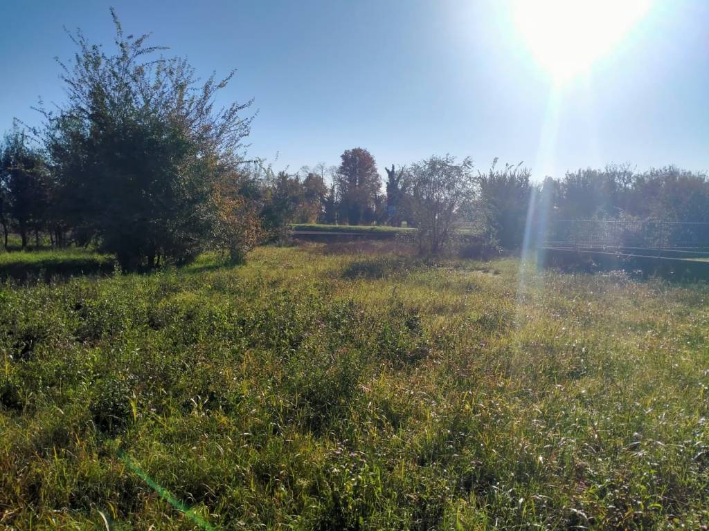 Terreno a Arcene in Piazza San Michele, 9 - Foto 3