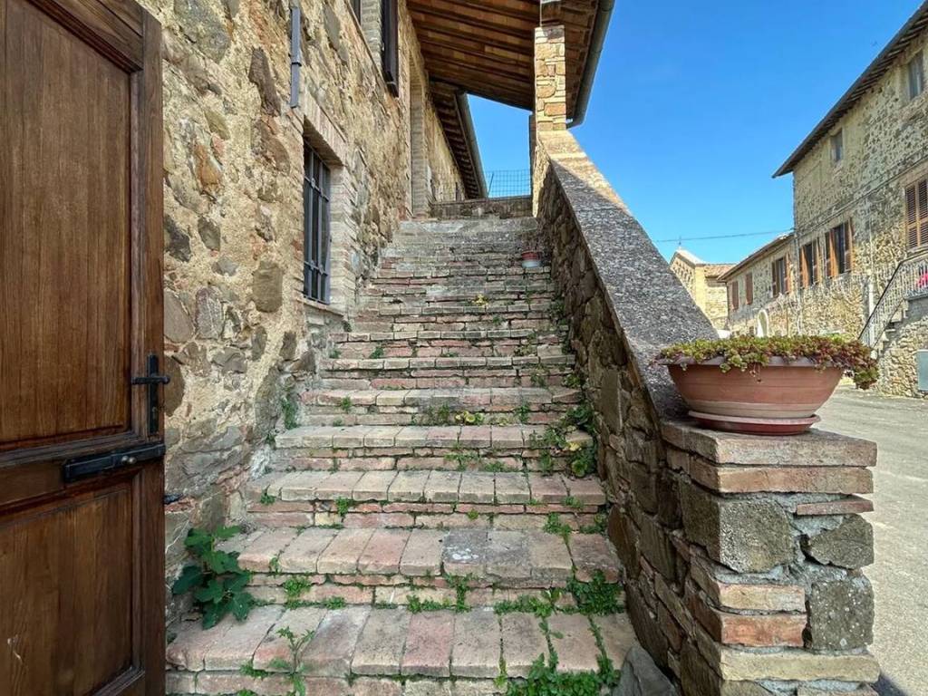 Rustico / casale a Montalcino - Foto 4