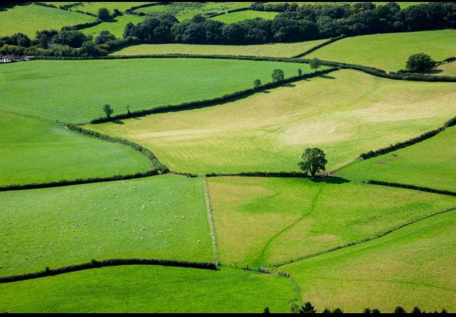 Terreno a Sedriano - Foto 2