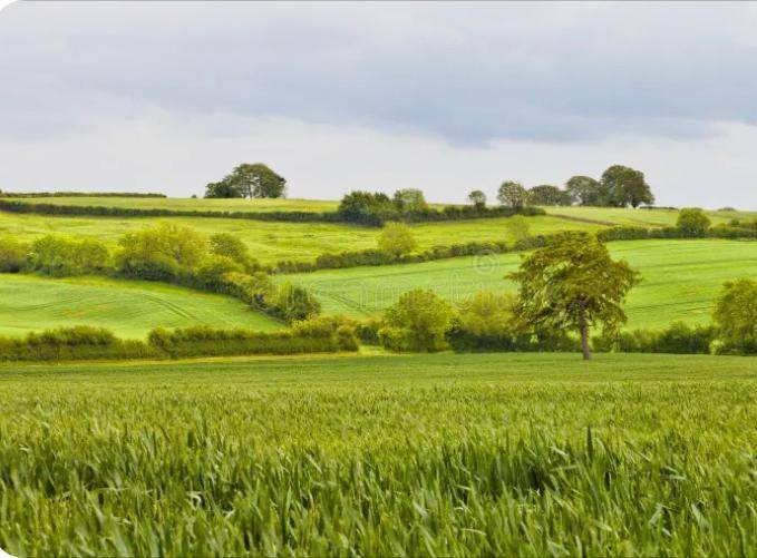 Terreno a Sedriano - Foto 4