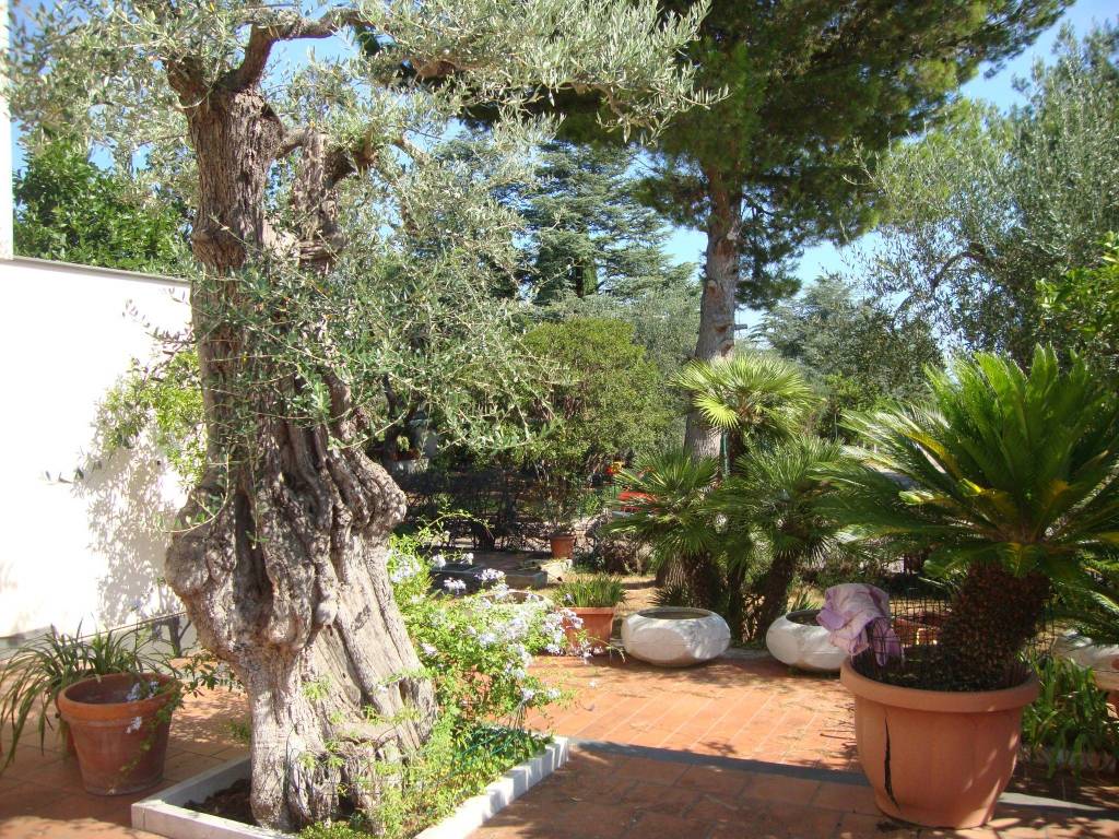 Villa a Bari in Corso Umberto I, 77 - Foto 5