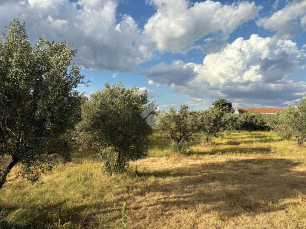 Terreno a Sellia marina in Via Carrera - Foto 2