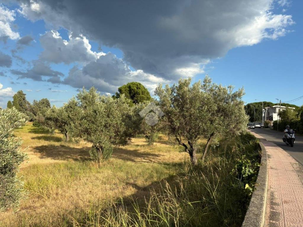 Terreno a Sellia marina in Via Carrera - Foto 3