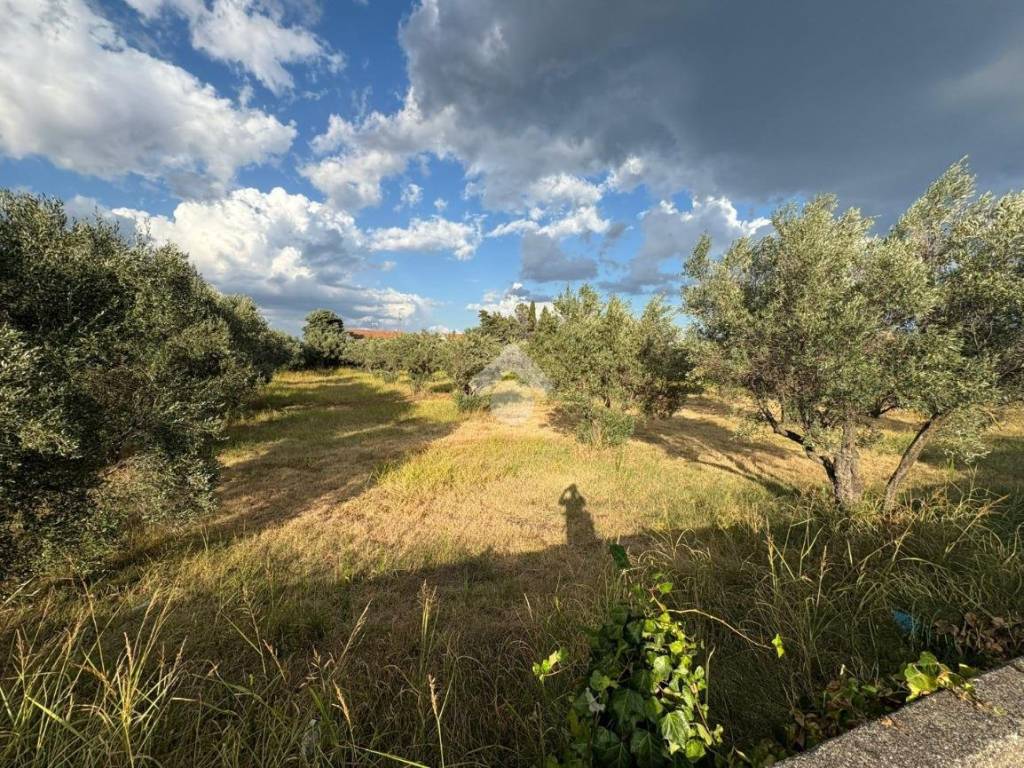 Terreno a Sellia marina in Via Carrera - Foto 4