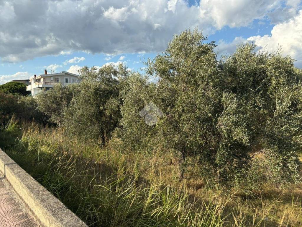 Terreno a Sellia marina in Via Carrera - Foto 5