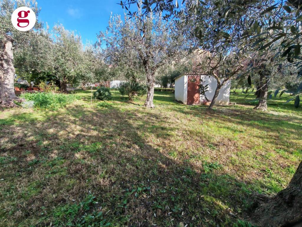 Terreno a Vasto in Via Michele Fiore - Foto 2