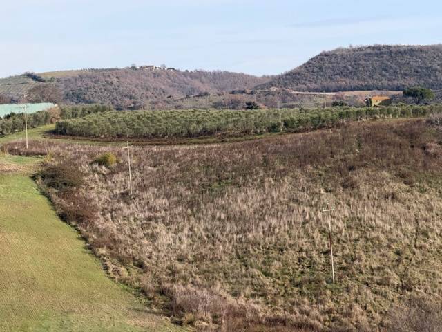 Terreno a Magliano in toscana - Foto 2