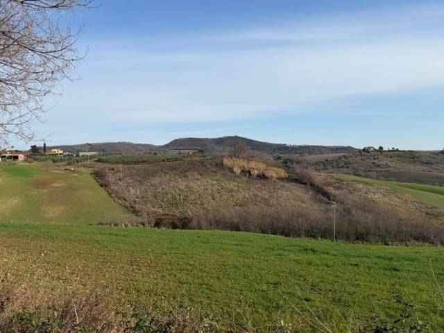 Terreno a Magliano in toscana - Foto 3
