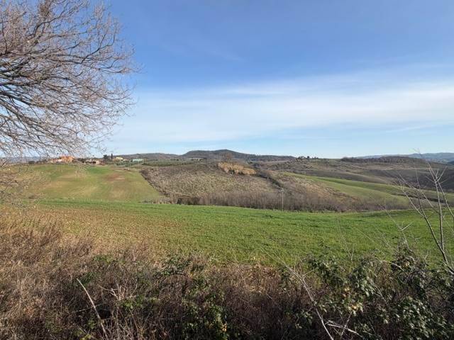 Terreno a Magliano in toscana - Foto 4