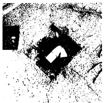 Appartamento a Dolceacqua in Localita' Vallone e Pila - Foto 4