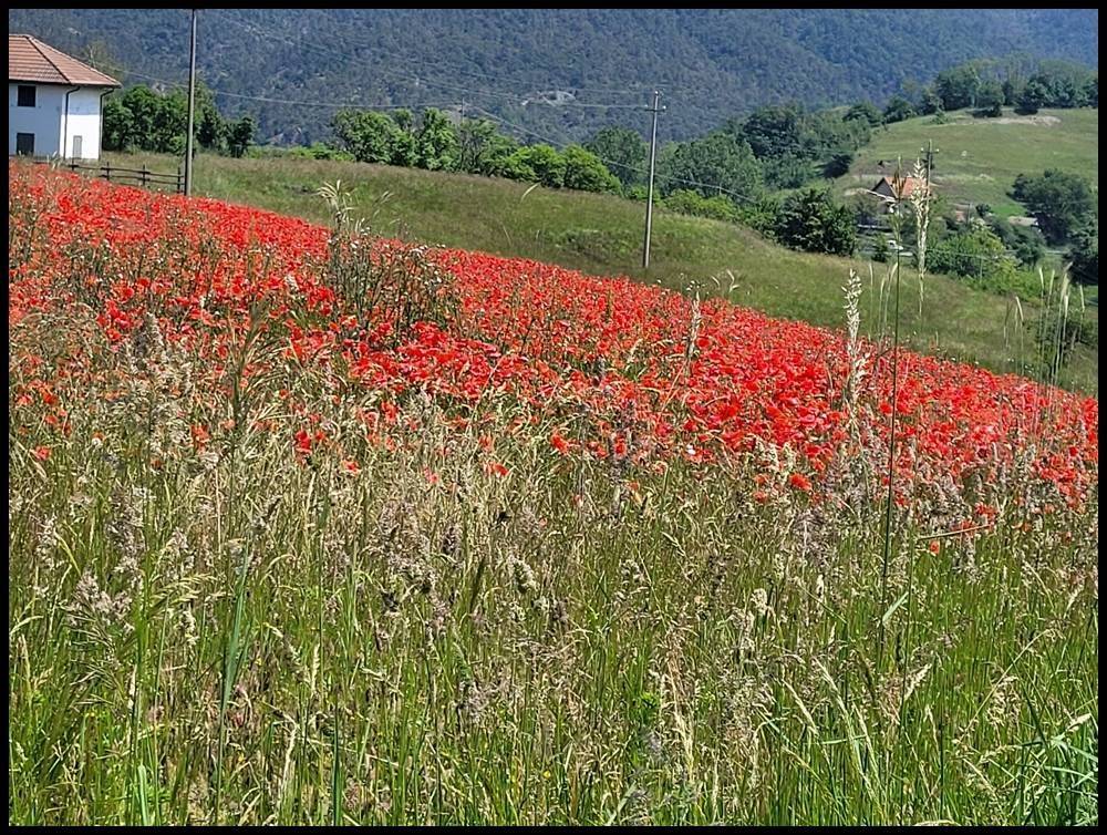 Villa a Sassello in Loc. Bandite - Foto 4