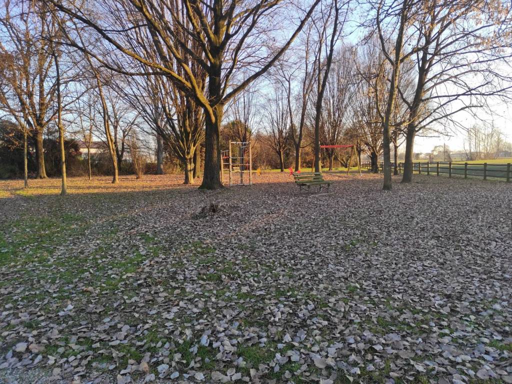 Terreno a Villa del conte - Foto 5