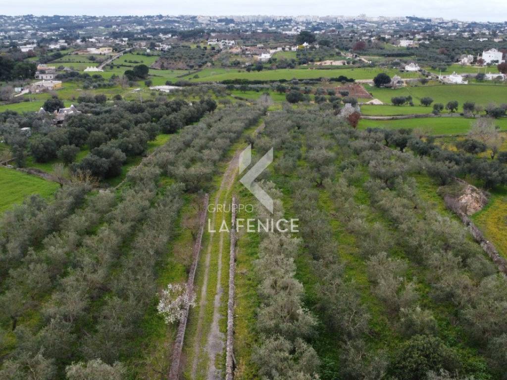 Rustico / casale a Martina franca in contrada montemichele - Foto 3