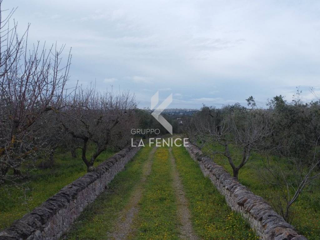 Rustico / casale a Martina franca in contrada montemichele - Foto 4