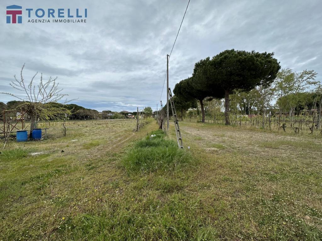 Terreno a Cervia in via Pinarella, 365 - Foto 3