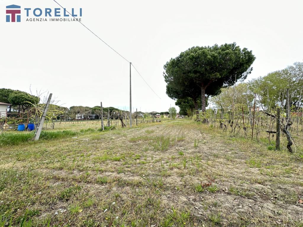 Terreno a Cervia in via Pinarella, 365 - Foto 4
