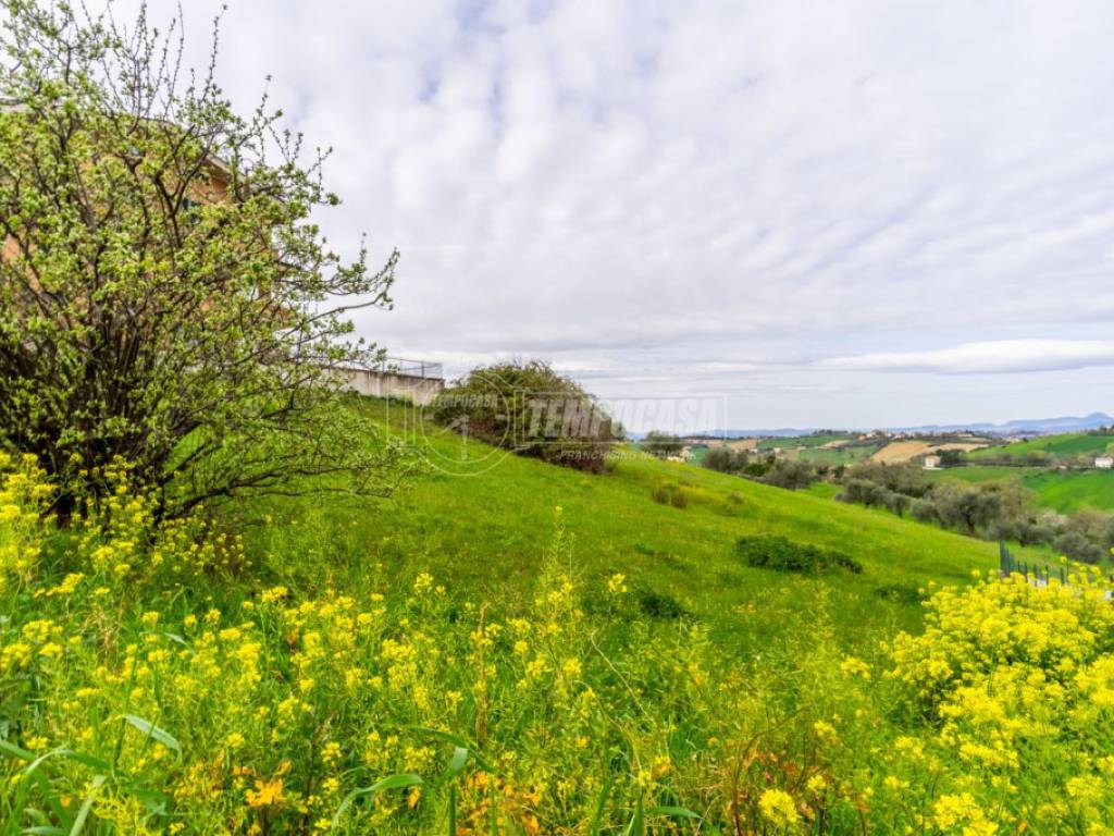 Terreno a Monte san giusto in Via Jesse Owens 1 - Foto 5