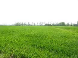 Rustico / casale a Cortemilia in Strada Statale Sud - Foto 3