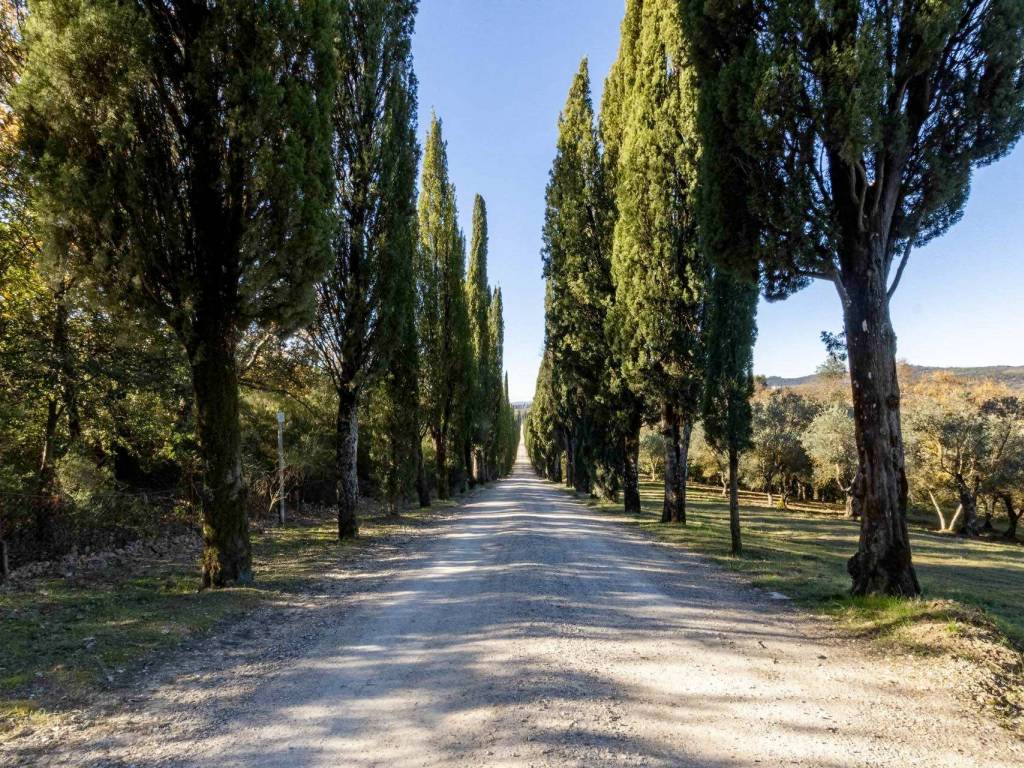 Appartamento a Castelnuovo berardenga - Foto 4