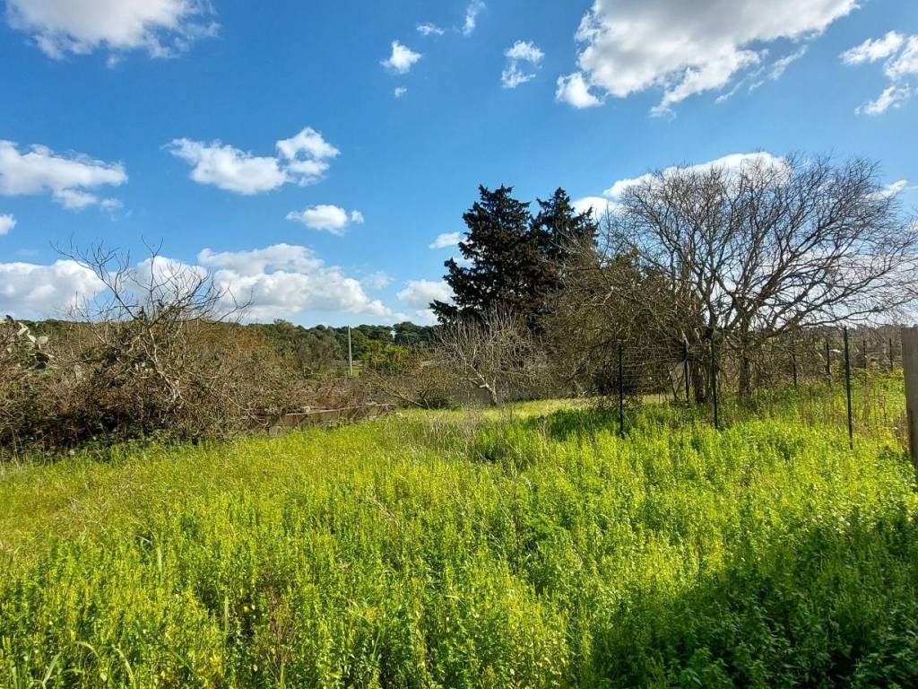 Rustico / casale a Maglie - Foto 4