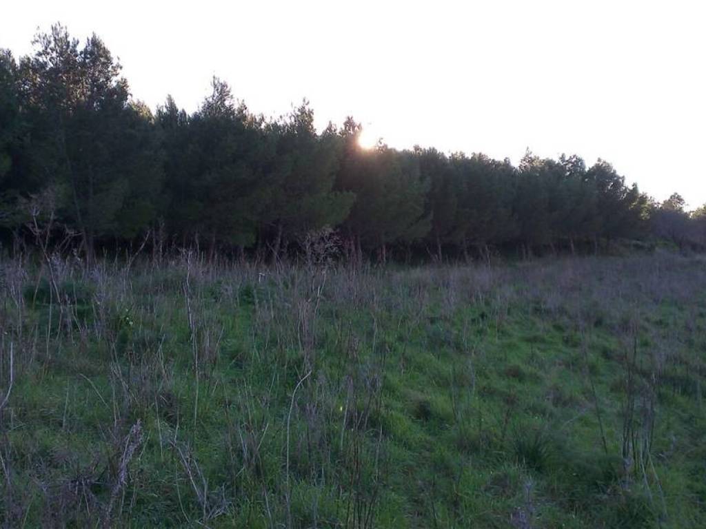 Terreno a Sciacca - Foto 4